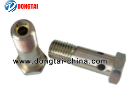 NO.041(3-1)VP44 Pump Into Oil Screw 1 463 445 040