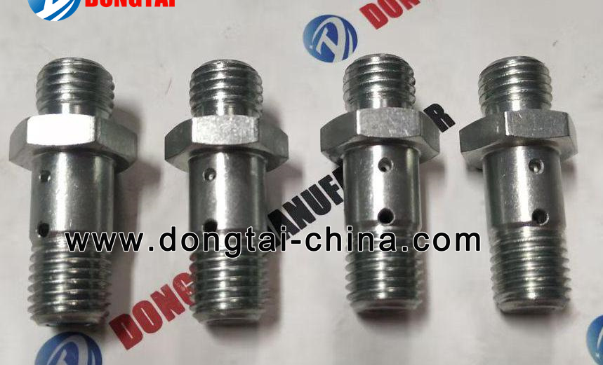 NO.041(5)BOSCH Overflow Valve 2 467 413 025